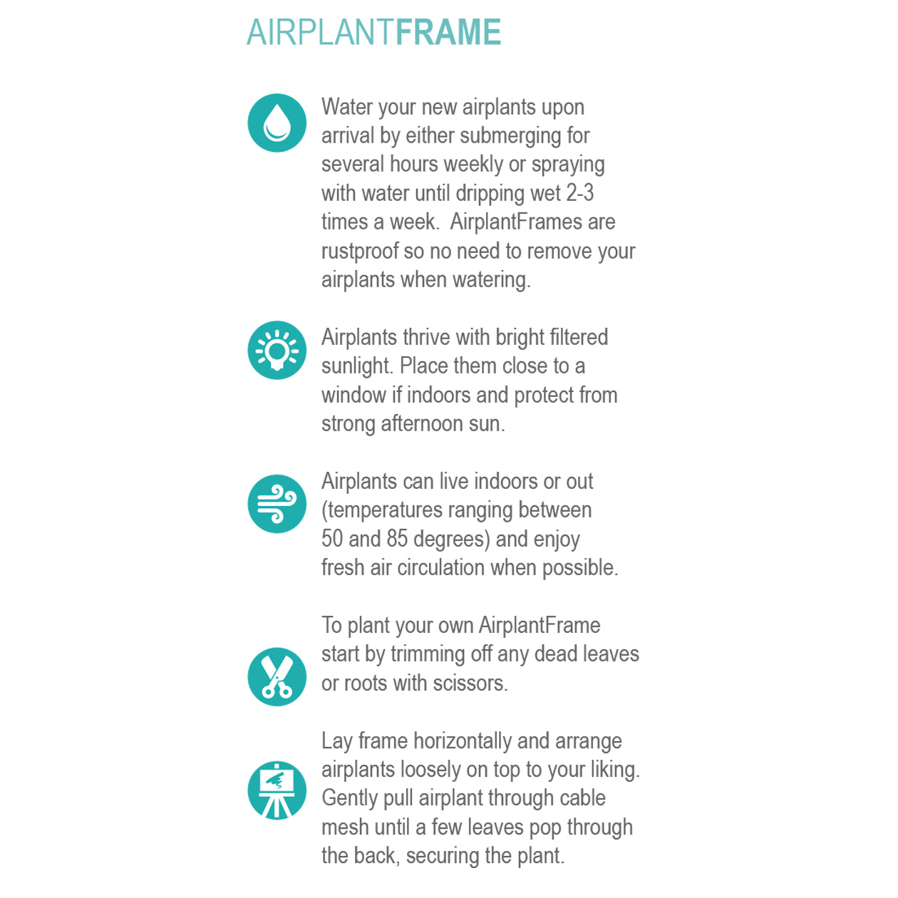 Air Plant Frame Stand